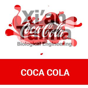 Xi'an Taima "Coca cola"