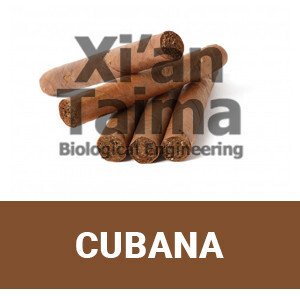 Xi'an Taima "Cubana"