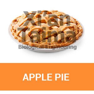 Xi'an Taima "Apple pie"