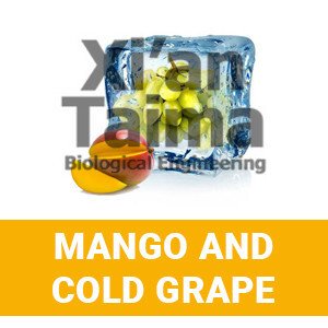Xi'an Taima "Mango and Cold Grape"
