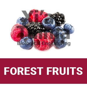 Xi'an Taima "Forest fruit"