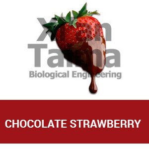 Xi'an Taima "Chocolate Strawberry"